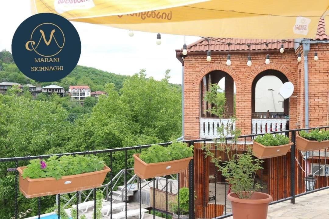 Guest House Marani Sighnaghi Exterior foto