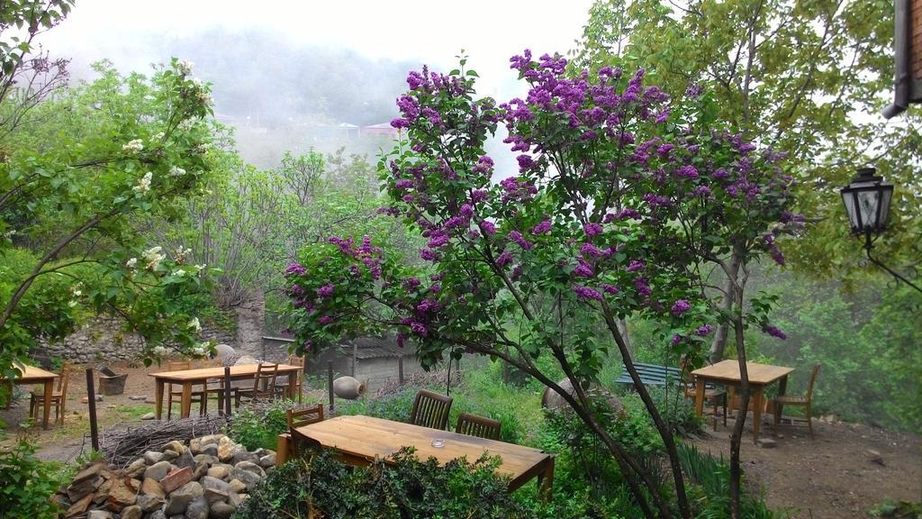 Guest House Marani Sighnaghi Exterior foto
